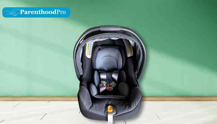 The Infant Car Seat Baby Chicco KeyFit 35 Infant Car Seat ‎05079625240070