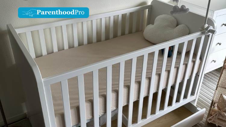 What Are The 5 Best Crib Mattress of 2025 