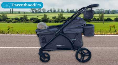 Baby Trend Expedition 2-in-1 Stroller Wagon Review 