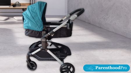 Graco Stroller Adjustable Reversible Lightweight Reviews