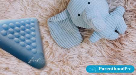 The Sensory Toy SMALL FISH Shape Learning Sensory Toys 