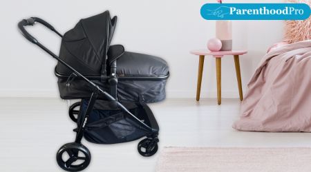 Stroller Bassinet Convertible Carriage Reversible Reviews
