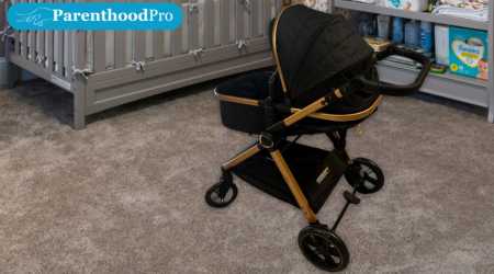 Stroller Convertible Bassinet Pushchair Newborns Review