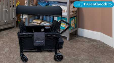Wonderfold Original Stroller Wagon Seater Review