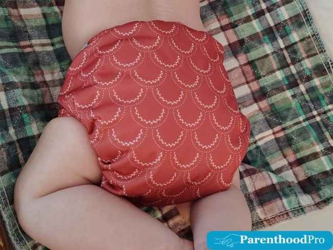 ALVABABY Baby Cloth Diaper Review